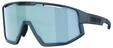Bliz Sportbrille Fusion small mall blau/smoke mirror ice blue