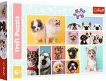 Trefl - Hundefreundschaft - Puzzles 160 Elemente - Bunte Puzzles mit Tieren,...