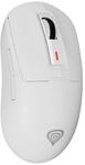 Mouse Bluetooth Wireless Genesis NMG-2194 Bianco
