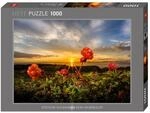 Cloudberries: 1000 Teile