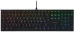 CHERRY MX 10.0N RGB, Schweizer Layout, QWERTZ Tastatur, kabelgebundene Tastatur,