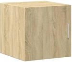 vidaXL Wandschrank, H&auml;ngeschrank mit Stauraum, Lagerschrank Wandmontage f&uuml;r
