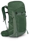 Osprey Talon 33 Leichter Wanderrucksack f&uuml;r Herren, Gr&uuml;nes Baldachin/Kiefernblatt,