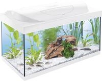 Tetra Starter Line 54 L Aquarium Komplett-Set mit LED-Beleuchtung, wei&szlig;