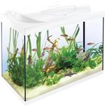 Tetra Starter Line 80 L Aquarium Komplett-Set mit LED-Beleuchtung, wei&szlig; | Mit Tag- &