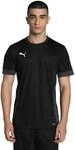 PUMA teamGOAL Matchday Jersey