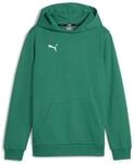 Puma Jungen Teamgoal Casuals Hoody Jr Pullover, Sport Green-Puma White, 116 EU