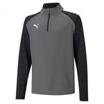 PUMA Unisex-Kinder Sweater, Smoked Pearl-Puma White, 128
