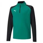PUMA Unisex Kinder Teamliga 14 Zip Top Jr Sweater, Pepper Green-puma Black, 164