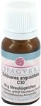 ECHINACEA ANGUSTIFOLIA C 30 Globuli 10 g