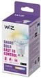 WiZ Tunable White LED Spot GU10 1er Pack, 50 W Glas Spot mit warm- bis kaltwei&szlig;em