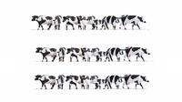 NOCH&reg; XL-Set &bdquo;K&uuml;he schwarz-wei&szlig;, handbemalte Figuren, 21 Tiere f&uuml;r die Spur H0
