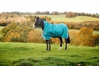 Horseware Amigo Bravo 12 Wug medium Storm Green Gr&ouml;&szlig;e w&auml;hlbar (130)