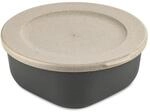 Koziol Box mit Lid 700 ml Connect Box 0,7
