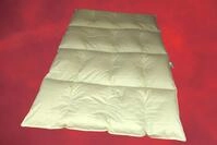 Betten Hofmann 4-Kammer-Steg-Bett Daunenbett Federbett Steppdecke Bett 135/200...