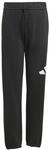 adidas Unisex Kinder Essentials Big Logo Pants, Black/White, 7-8 Years