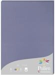 Clairefontaine 24219C - Packung mit 25 Blatt Briefpapier Pollen DIN A4 21x29,7 cm,