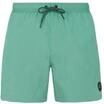 Protest Herren Badeshorts Faster S