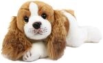 Teddys Rothenburg Kuscheltier Hund Cavalier 30 cm liegend braun/wei&szlig;...