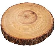 Zassenhaus 4006528059106 Servierplatte-4006528059106 Servierplatte, Holz, braun, 23cm