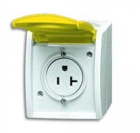 Busch-Jaeger 3016 EWN-54 Nema-Steckdose