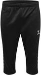 hummel hmlAUTHENTIC Trainingshose schwarz, L Herren