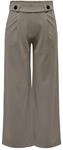 JDYGEGGO New Long Pant JRS NOOS, XXL/30
