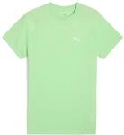 Puma Unisex Evostripe Tee T-Shirts, Spring Fern, XXL EU