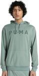 PUMA Unisex M CLOUDSPUN Branded Hoodie Kapuzenpullis, Green Moon, XXL