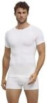 FALKE Herren Warm Round Neck Funktionsshirt Kurzarmshirt schnelltrocknendes