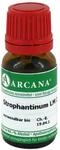 STROPHANTINUM LM 1 Dilution 10 ml