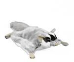 Teddys Rothenburg Kuscheltier Flugh&ouml;rnchen grau/wei&szlig;/schwarz 30 cm Pl&uuml;schtier