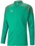 Puma Herren Teamcup Trainingsjacke Sweater
