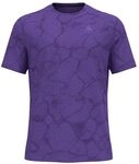 Odlo Herren Zeroweight Engineered Chill-Tec Tee Laufbekleidung Laufshirt...