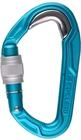 EDELRID Verschlusskarabiner Bulletproof Screw, icemint (329)