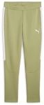 Puma Herren Strickhose Teamevostripe Pants