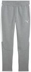 PUMA teamEVOSTRIPE Trainingshose grau, S Herren
