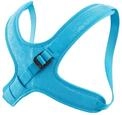 EDELRID Brustgurt Kermit II f&uuml;r Kinder, Farbe:icemint, Gr&ouml;&szlig;e:XXS