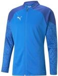 Puma Herren Teamcup Trainingsjacke Sweater