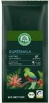 LEBENSBAUM Bio Guatemala Kaffee ganze Bohne, Bio R&ouml;stkaffee aus 100% Arabica-Bohnen,