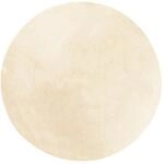 vidaXL Teppich, Wohnzimmerteppich Kurzflor Weich Waschbar, Moderner Teppich Rund f&uuml;r