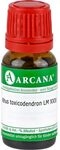 RHUS TOXICODENDRON LM 24 Dilution 10 ml