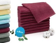 ZOLLNER 10er Set G&auml;stehandt&uuml;cher in 30x50 cm - saugstarke und weiche...