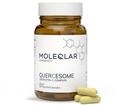 MoleQlar Quercetin Kapseln - veganes Premium Quercetin-Phospholipid und Vitamin...
