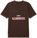 PUMA FC St. Pauli Special Trikot 2024/2025 braun, XL Unisex
