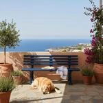 PROREGAL Gartenbank Antigua | 3-Sitzer | Blau | HxBxT 74x150x54cm | Witterungs-...