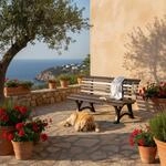 PROREGAL Gartenbank Jamaika | 3-Sitzer | Braun | HxBxT 80x150x64cm |...