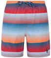Protest Herren Badeshorts PRTRadar L