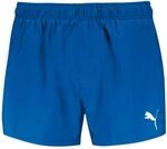 Puma Herren Shorts, Vivid Blue, XL EU