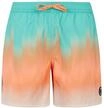 Protest Herren Badeshorts PRTBowery S